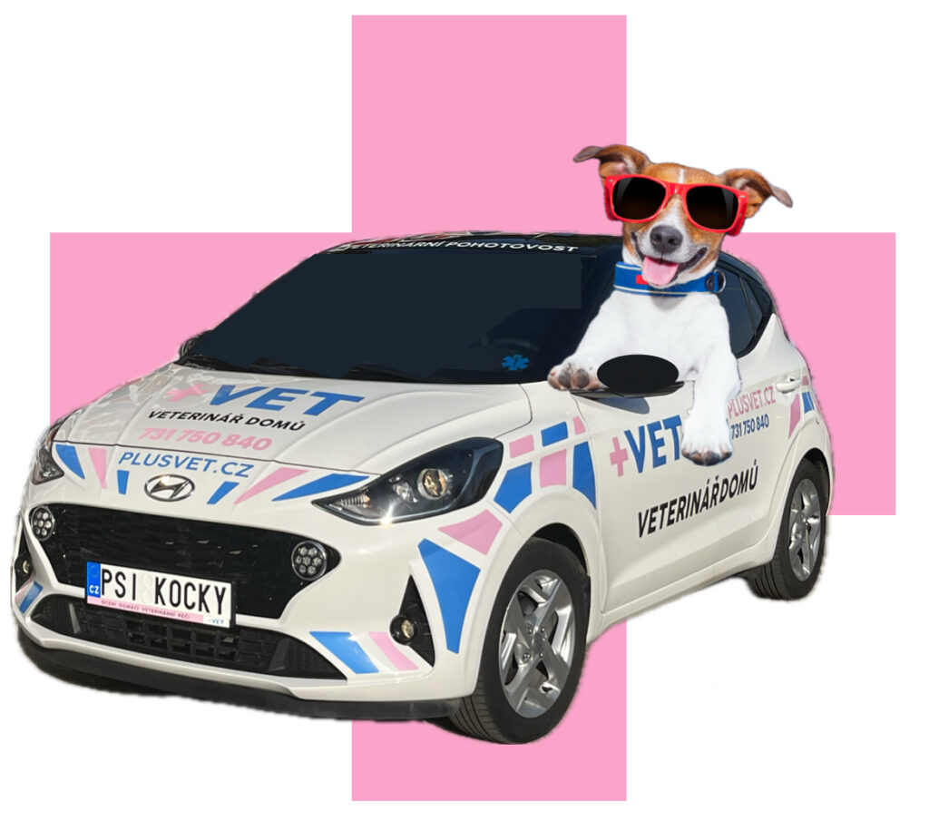 veterinár domu
