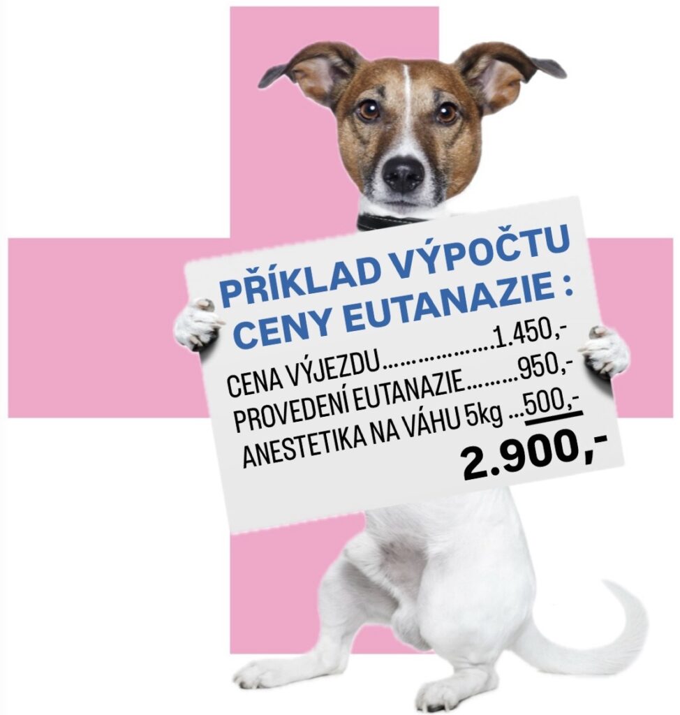 veterinar domu cena eutanazie doma