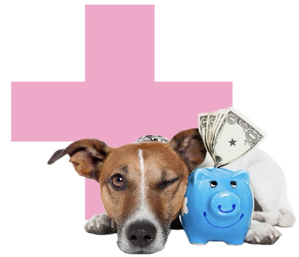 VETERINÁŘ DOMU CENA