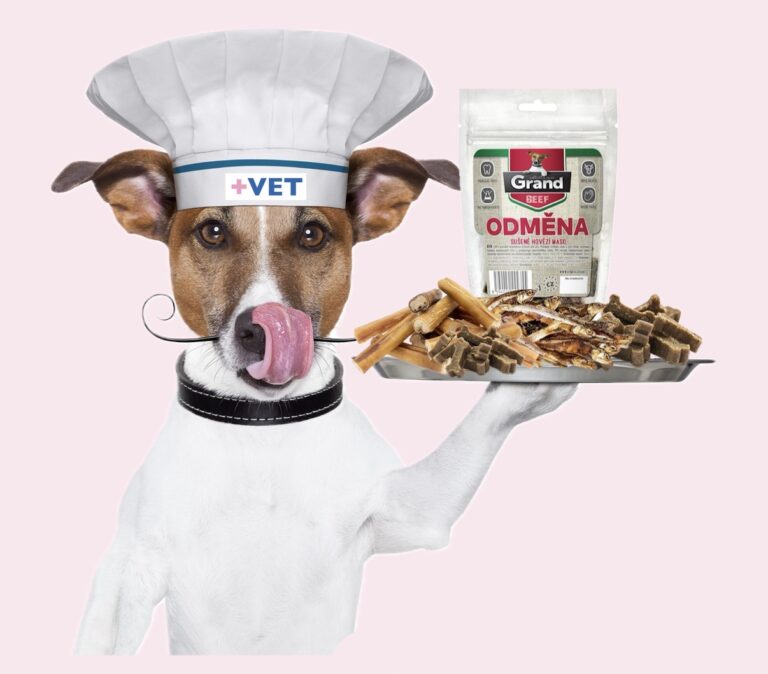 veterinář domu Brno