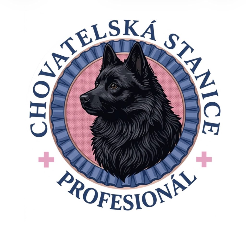 chs profesional